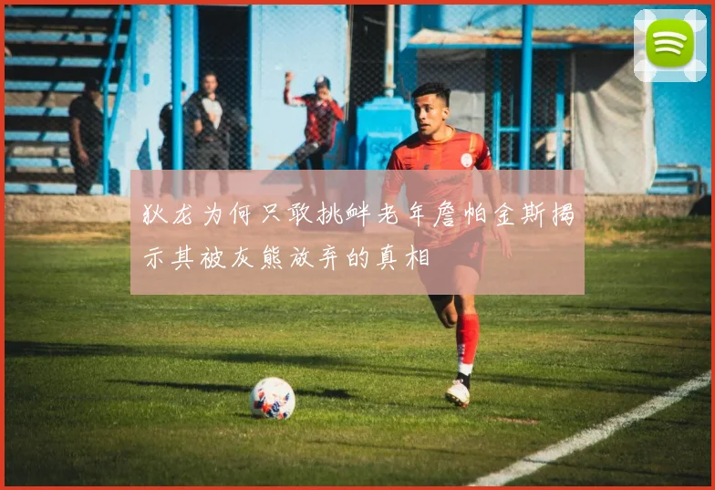 狄龙为何只敢挑衅老年詹帕金斯揭示其被灰熊放弃的真相