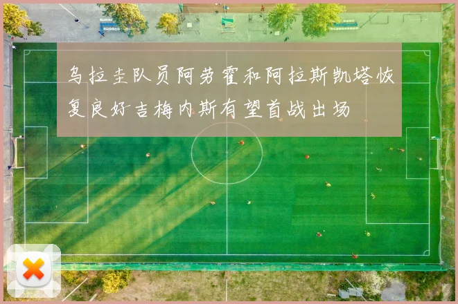 乌拉圭队员阿劳霍和阿拉斯凯塔恢复良好吉梅内斯有望首战出场